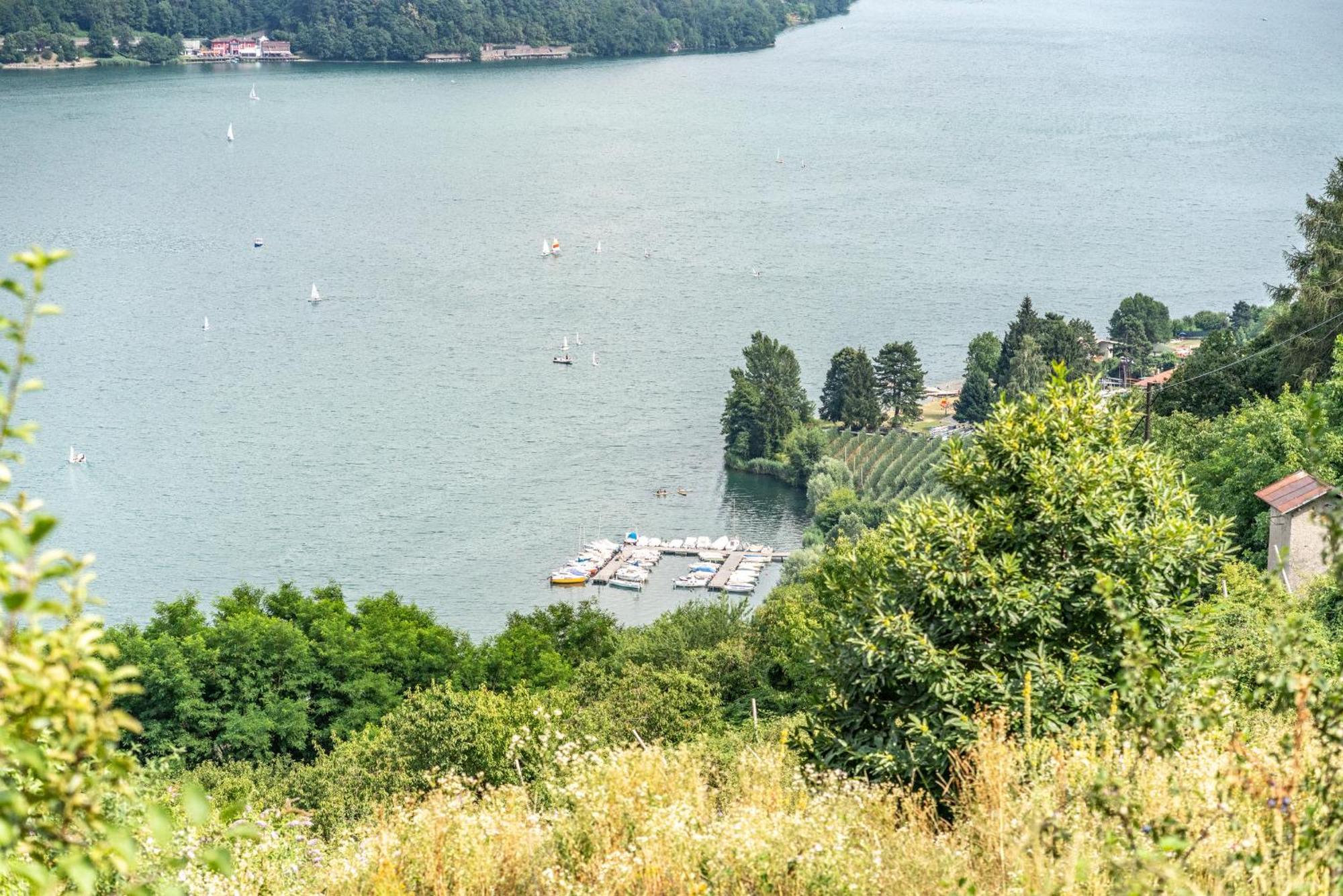 Residenza Glicine Daire Pergine Valsugana Dış mekan fotoğraf